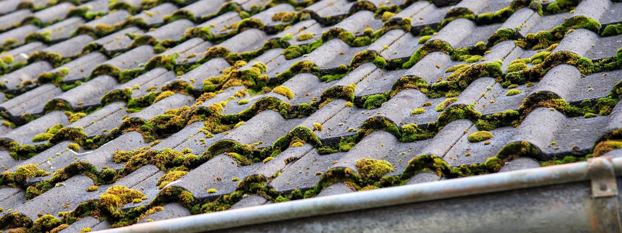 TRAVAUX_NETTOYAGE_DEMOUSSAGE_TOITURE2 2000X750 | IDEA HABITAT 67 Quelles sont les différentes techniques de nettoyage de toiture ? Bischheim